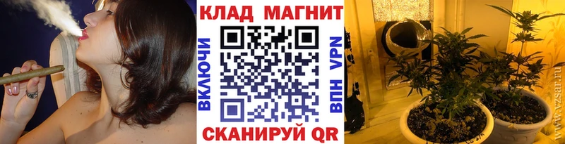 Где можно купить наркотики Вилючинск Марихуана  A PVP  АМФ  КОКАИН  Гашиш 