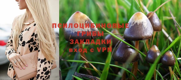 экстази Алексеевка